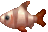 Agent Preview - Tiger Barb Fish v2.0.png preview image