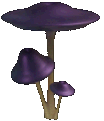 Agent Preview - Mushroom Forest.png preview image