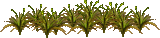 Agent Preview - Sot's Deco C3 Desert Grass Clumps V.1.png preview image