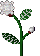 Agent Preview - Snowflakes Plant.png preview image