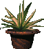Agent Preview - NG-Bromsepot <C3>.png preview image