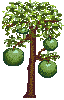 Agent Preview - Apple tree.png preview image