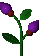 Agent Preview - Bilberry Bush.png preview image