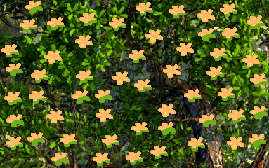 Orange Blossom.png