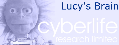 Lucy's Brain