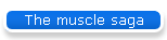 The muscle saga