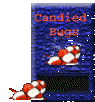 Candied Bugs