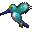 c3-hummingbird